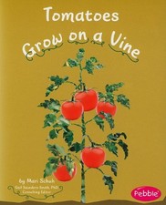 TOMATOES GROW ON A VINE (HOW