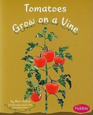 Tomatoes Grow on a Vine by