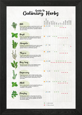 Quadro stampa su tela poster