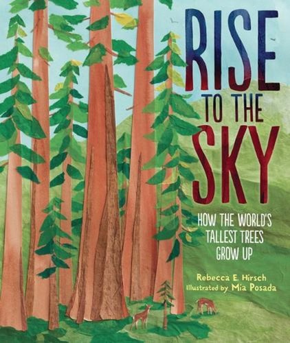 Rise the sky how - to, sky: